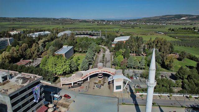 ORDU Fakıuşağı Çiçekçi